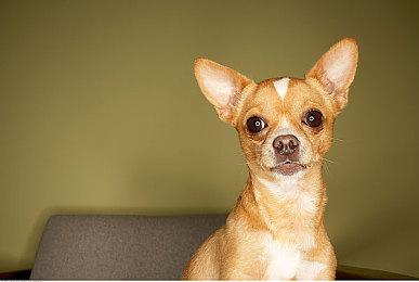 《失忆症：地堡》新预告短片展示遭遇怪物